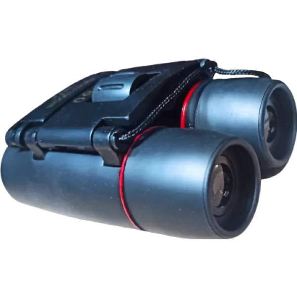 Binoculares mini